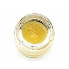 East Coast Collective - Live Resin | Cantaloupe Haze (2g)