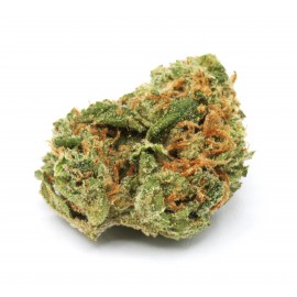 VIP Package *Gold Tier* - 1/2 oz - Lemon Margy