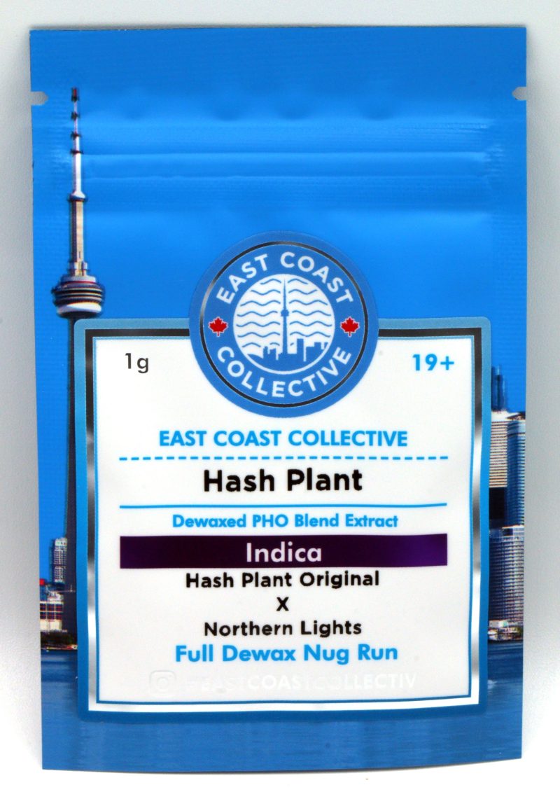 East Coast Collective Shatter *80-90% THC* Hash Plant - Image 2