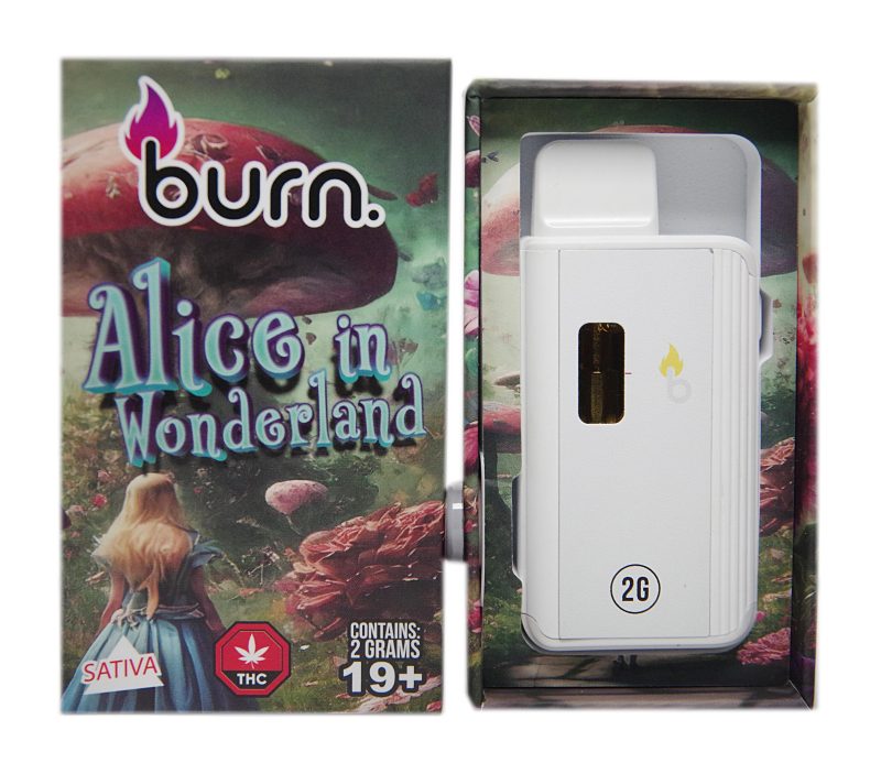 Burn Disposable Vape Pens (2g) - Image 7