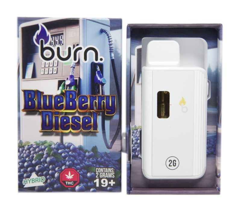 Burn Disposable Vape Pens (2g) - Image 6