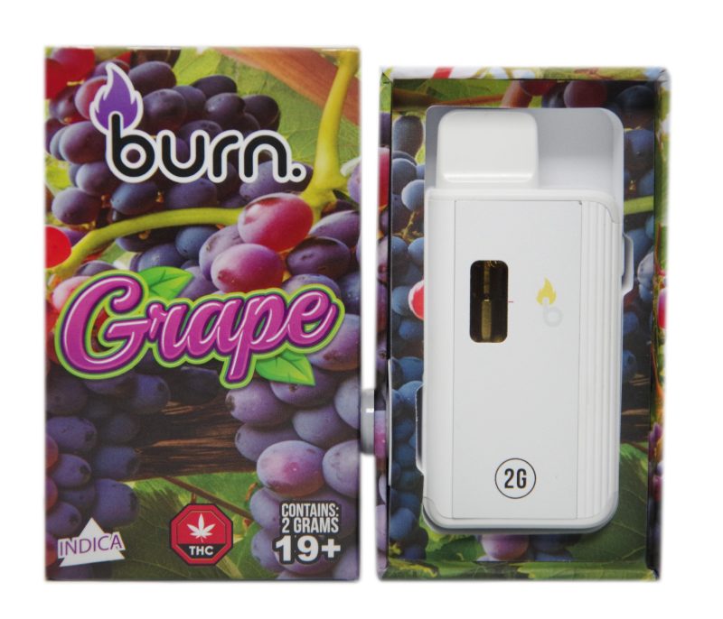 Burn Disposable Vape Pens (2g) - Image 2