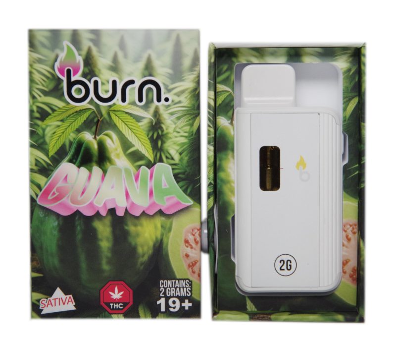 Burn Disposable Vape Pens (2g) - Image 3