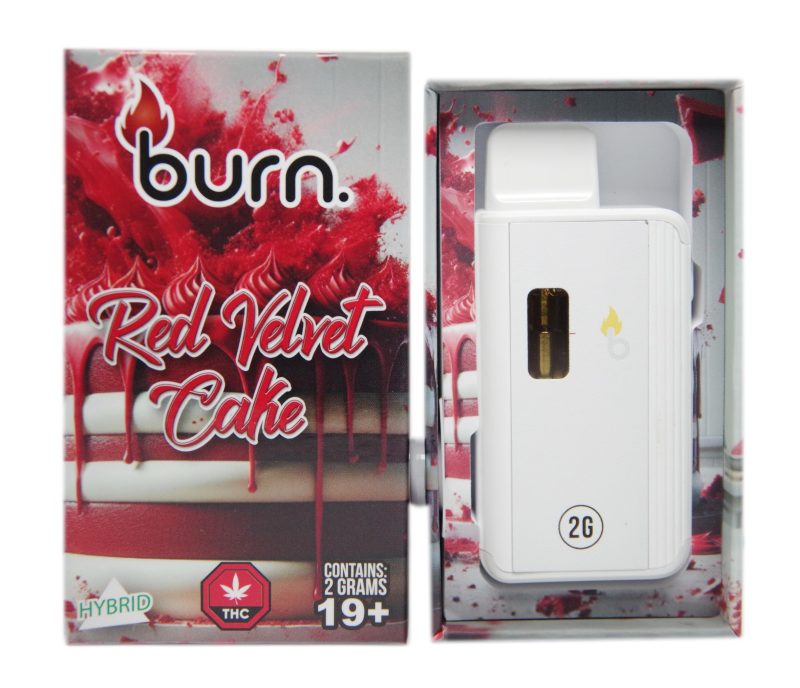 Burn Disposable Vape Pens (2g) - Image 5