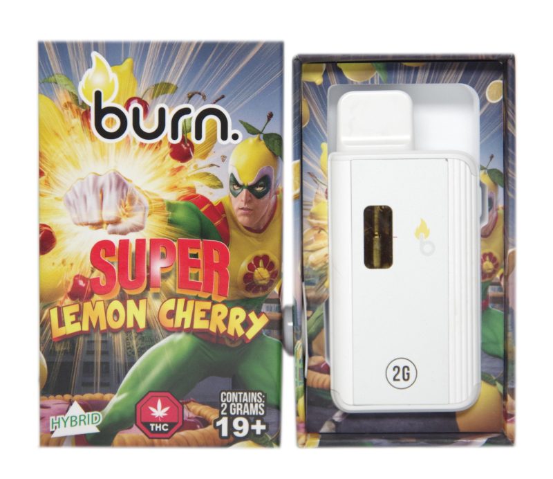 Burn Disposable Vape Pens (2g) - Image 4