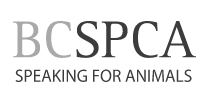 bcspca