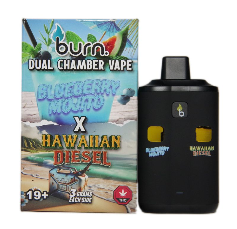 Burn Disposable Dual Vape Pens (6g) - Image 2