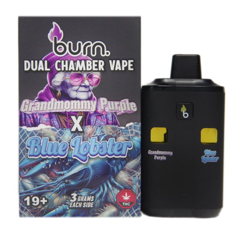 Burn Disposable Dual Vape Pens (6g) - Image 3