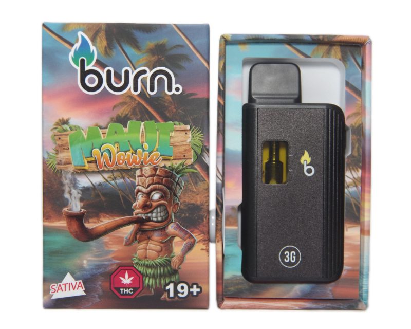 Burn Disposable Vape Pens (3g) - Image 8