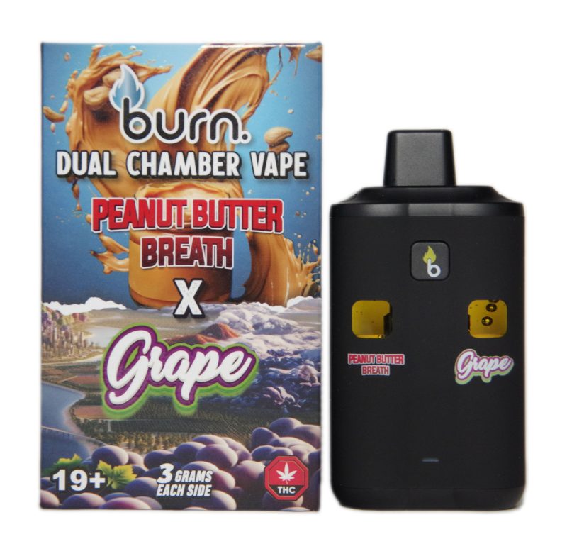 Burn Disposable Dual Vape Pens (6g) - Image 11