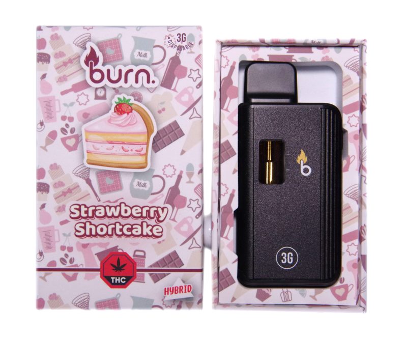 Burn Disposable Vape Pens (3g) - Image 6