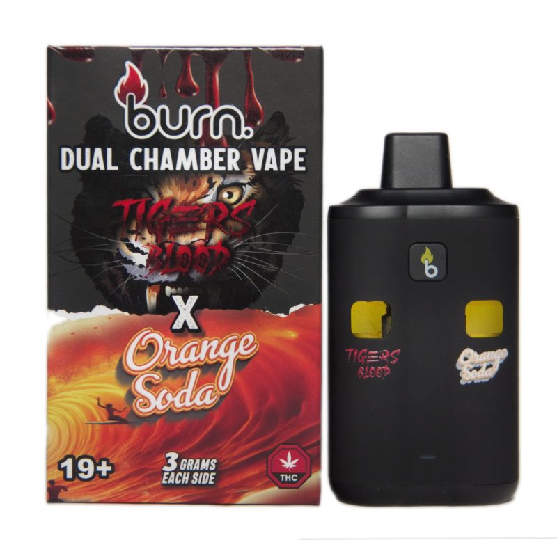 Burn Disposable Dual Vape Pens (6g) - Image 6