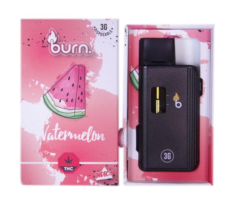 Burn Disposable Vape Pens (3g) - Image 3