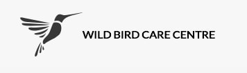 wildbird