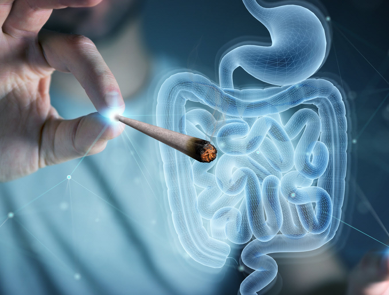 gut and cannabis