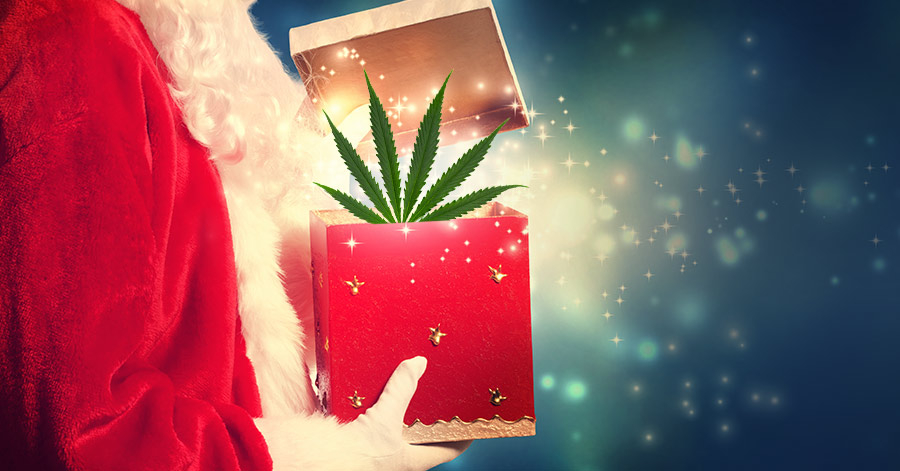 Cannabis for Holidays