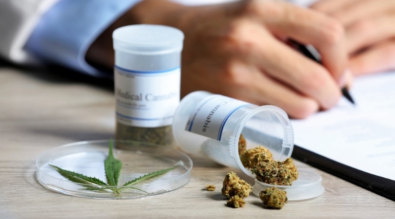 Cannabis Strains for Pain Relief