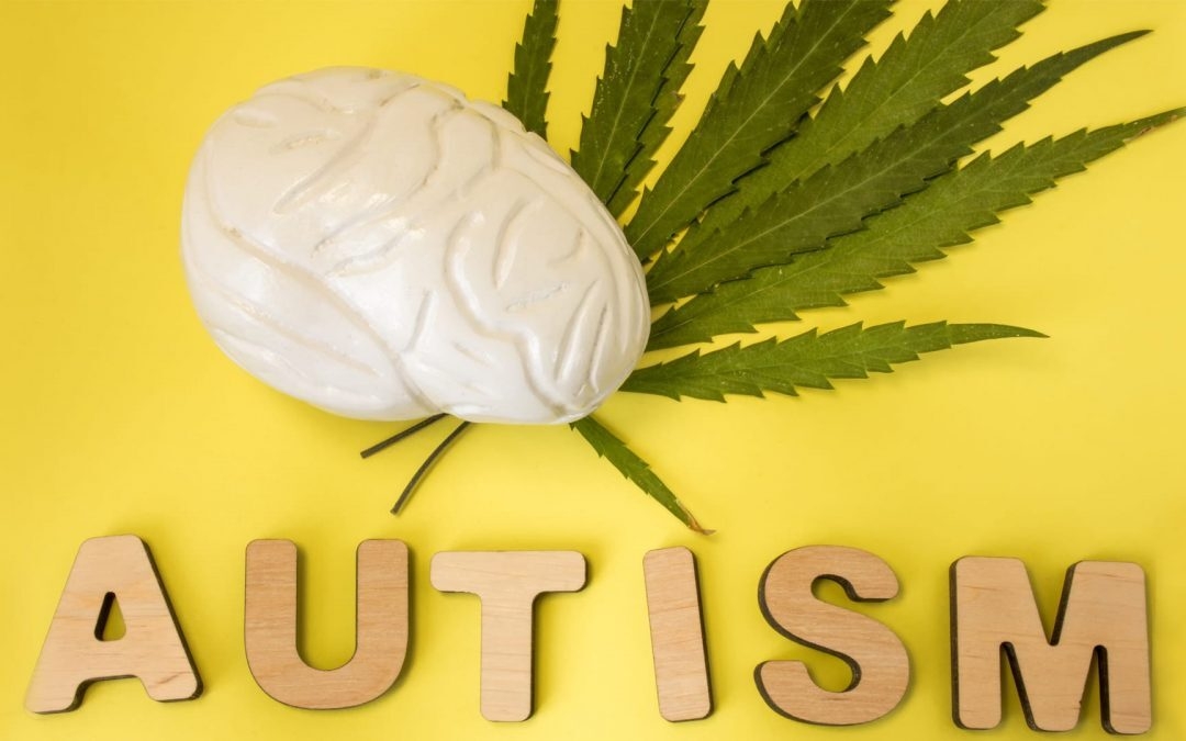 cannabis and autism