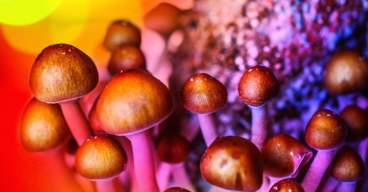 Psilocybin