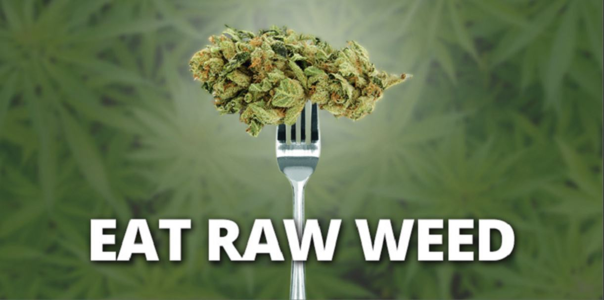 Eat Raw Cannabis