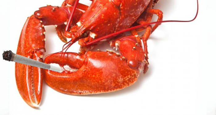 Lobster with Cannabis