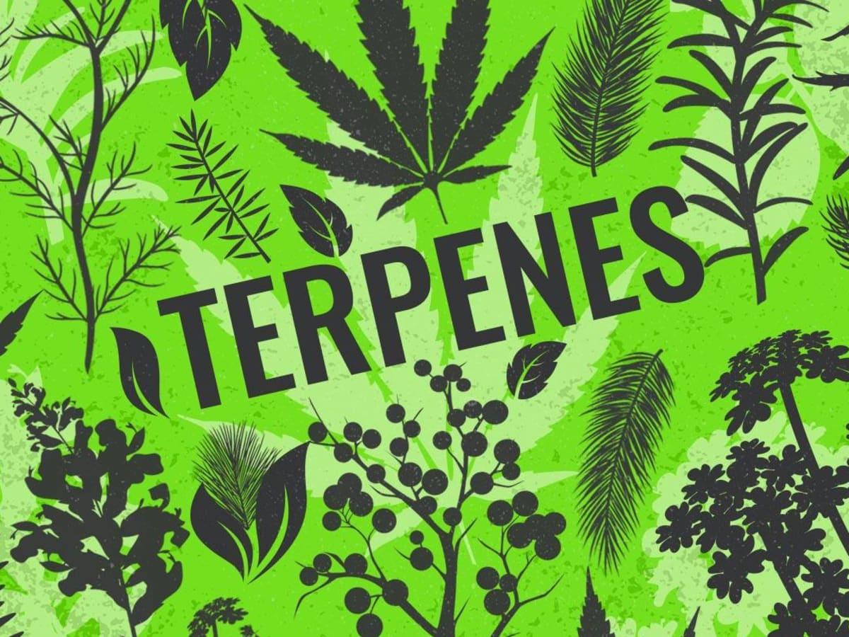 Terpenes