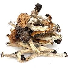 1/2 oz (14 grams) *Party Pack* - Psilocybin Shrooms