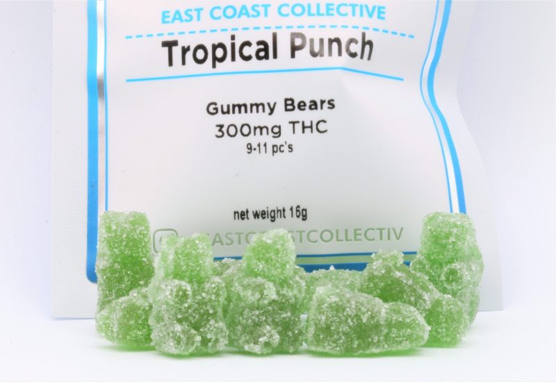 East Coast Collective Gummy Bears - Tropical Punch (300mg THC)